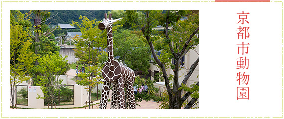 京都市動物園